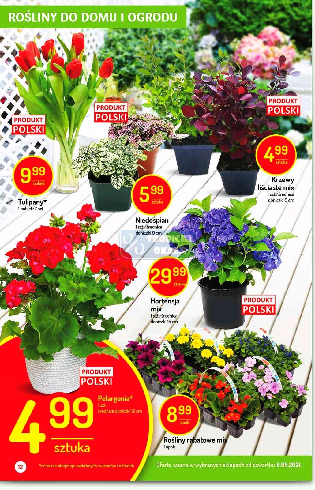 Gazetka promocyjna Delikatesy Centrum str. 12