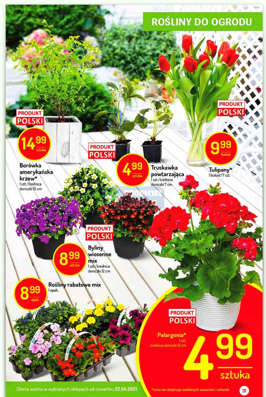 Gazetka promocyjna Delikatesy Centrum str. 31