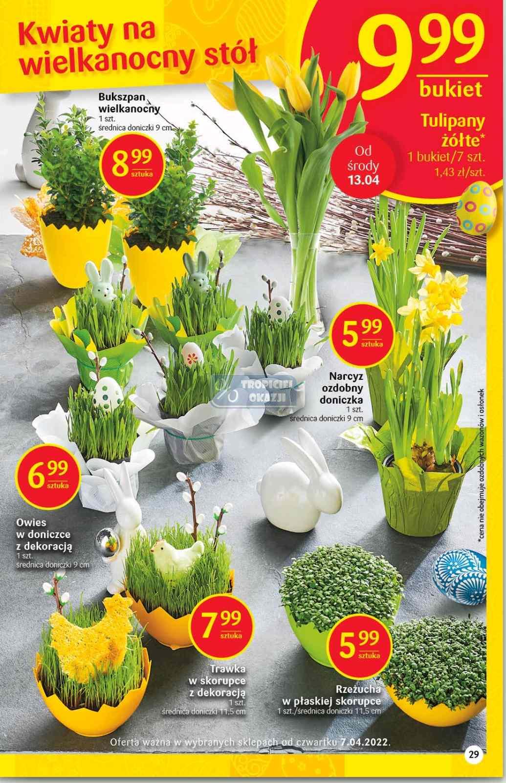 Gazetka promocyjna Delikatesy Centrum str. 29