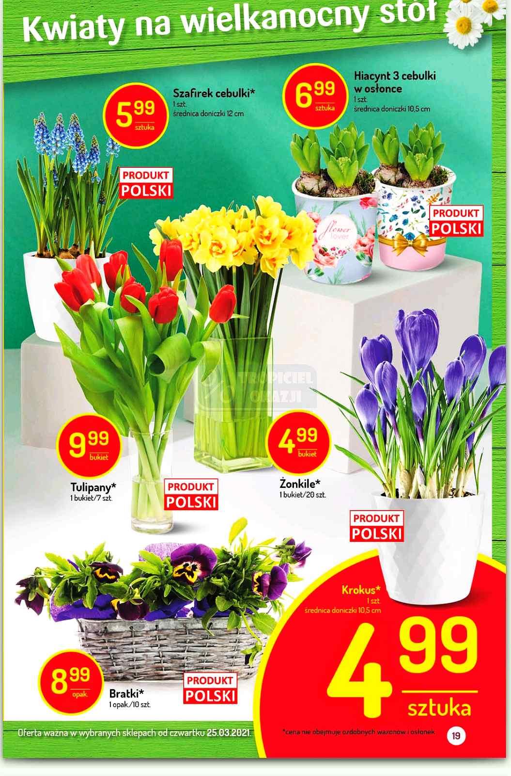 Gazetka promocyjna Delikatesy Centrum str. 19